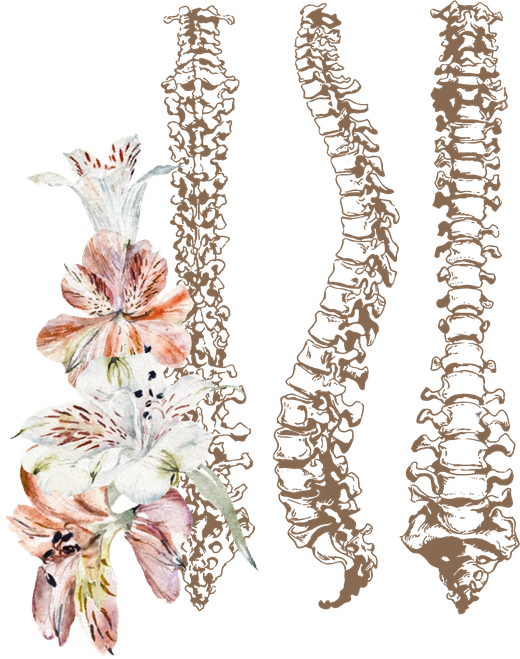 Ilustração da coluna vertebral com flores em aquarela